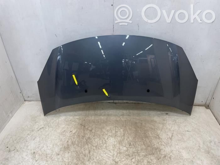 Citroen DS3 Vano motore/cofano 