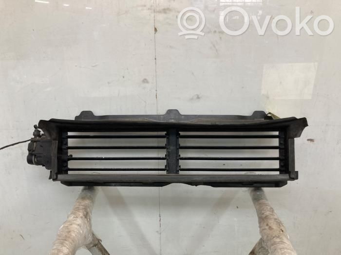Volvo S60 Radiatoriaus oro nukreipėjas (-ai) 