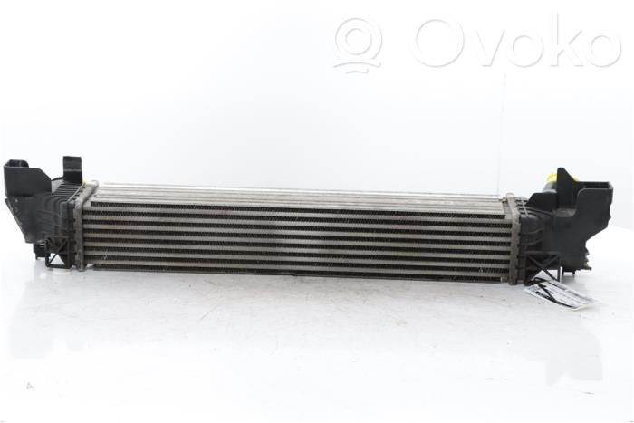 BMW 1 F40 Radiator intercooler 