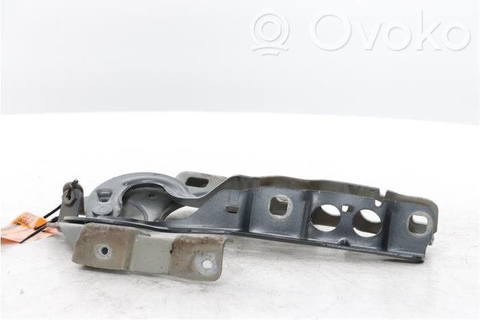Citroen DS4 Cerniere del vano motore/cofano 