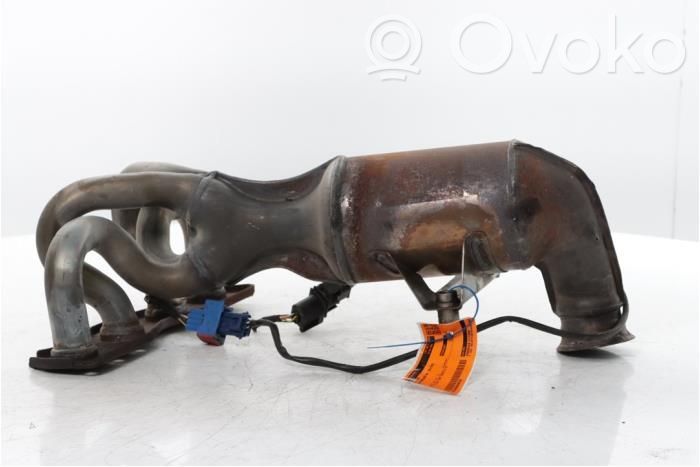 Citroen Berlingo Filtro antiparticolato catalizzatore/FAP/DPF 