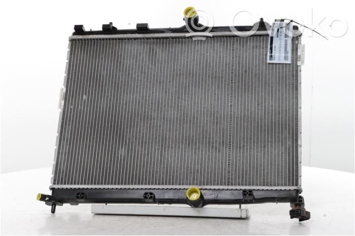 Peugeot 208 II Radiator lichid răcire 