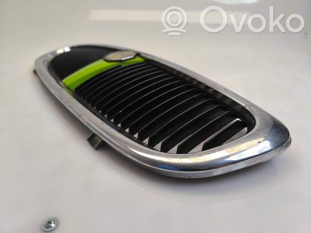 Front grill   DHT100040,69701