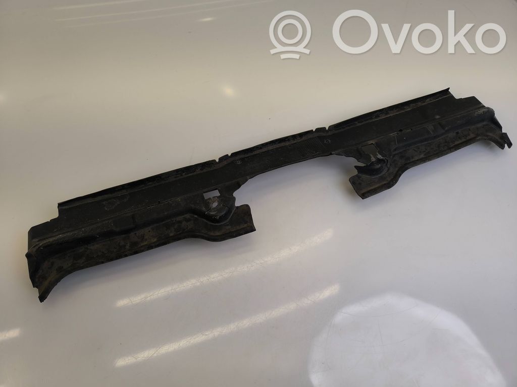 Radiator trim   51717011217