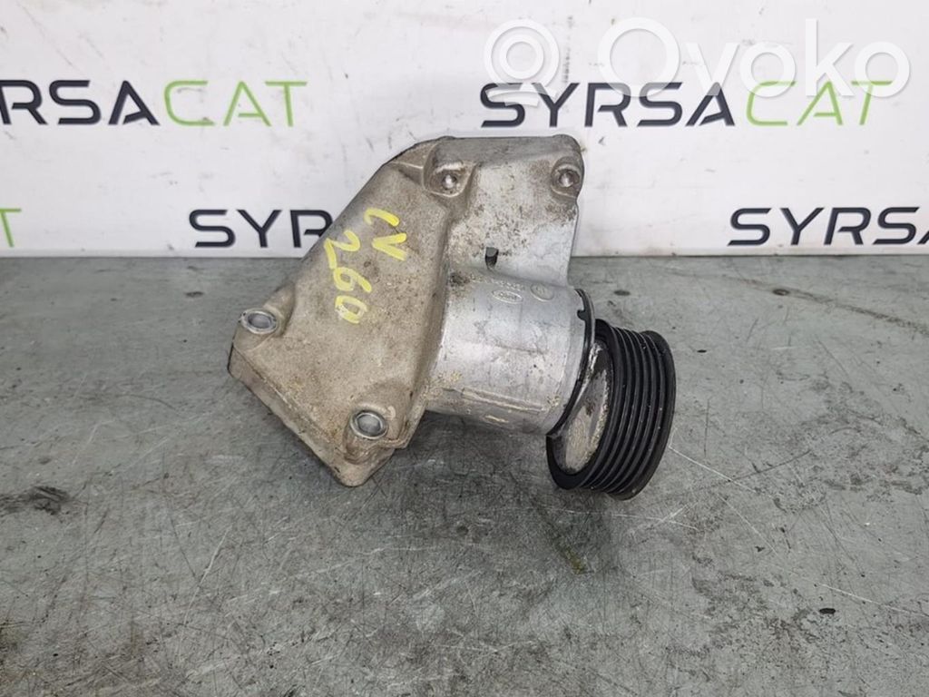 Ford Focus Generator/alternator belt tensioner 