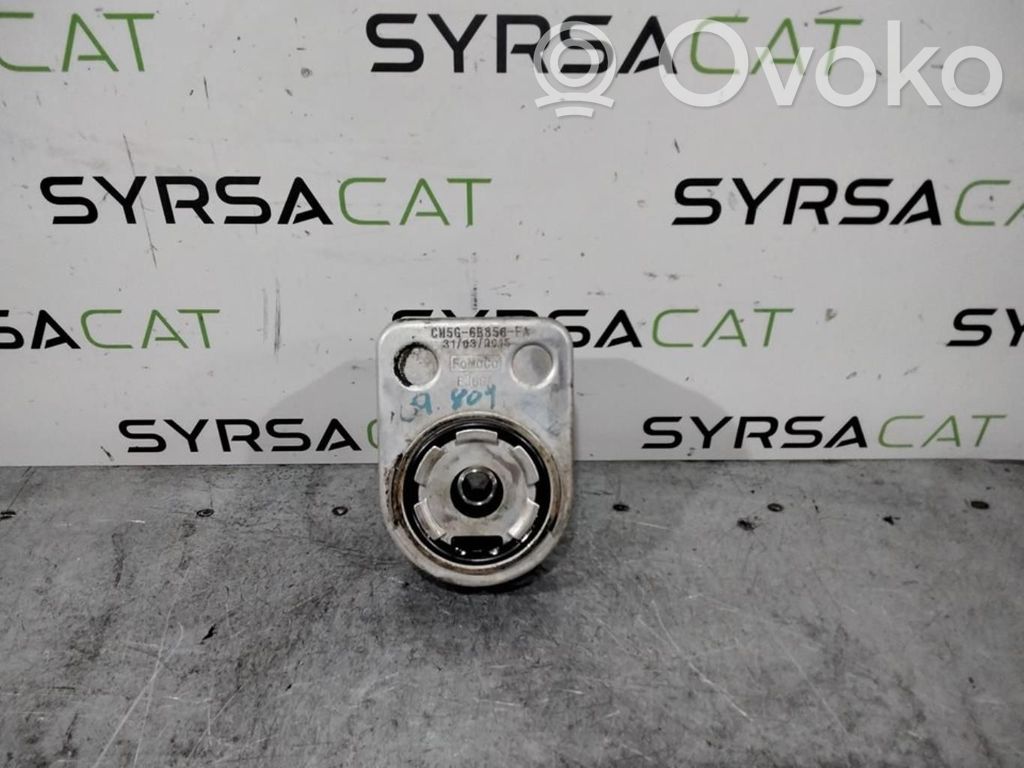 Ford Focus Dzinēja eļļas radiators 