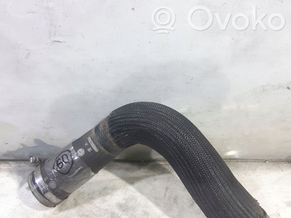 Citroen C3 Välijäähdyttimen letku 