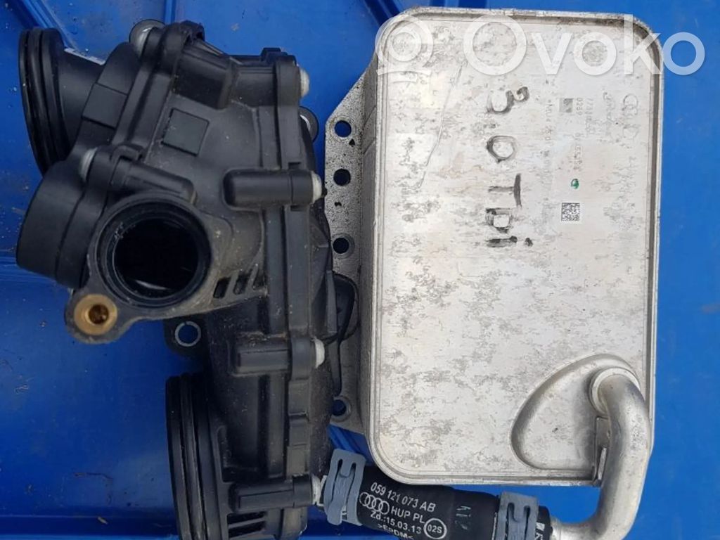 Volkswagen Touareg III Termostatas/ termostato korpusas 