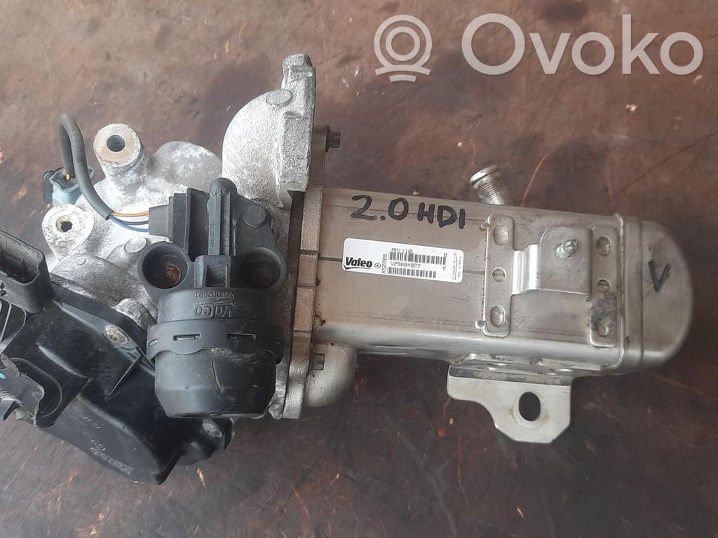Citroen C5 Refrigerador de la válvula EGR 