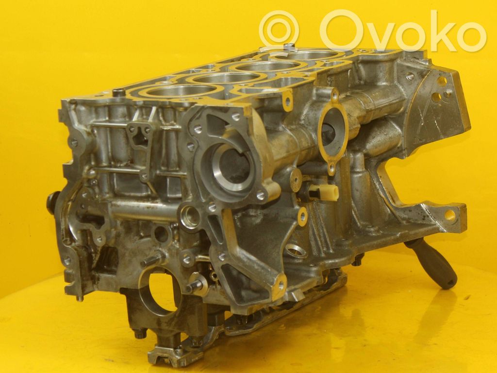 Nissan Juke I F15 Blok silnika 