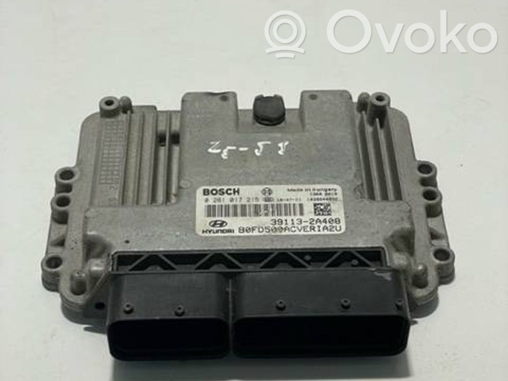 Engine control unit/module   391132A408,1039S44692,0281017215