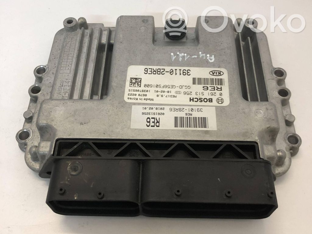 Engine control unit/module   391102BRE6,0261S13256,391012BRE6