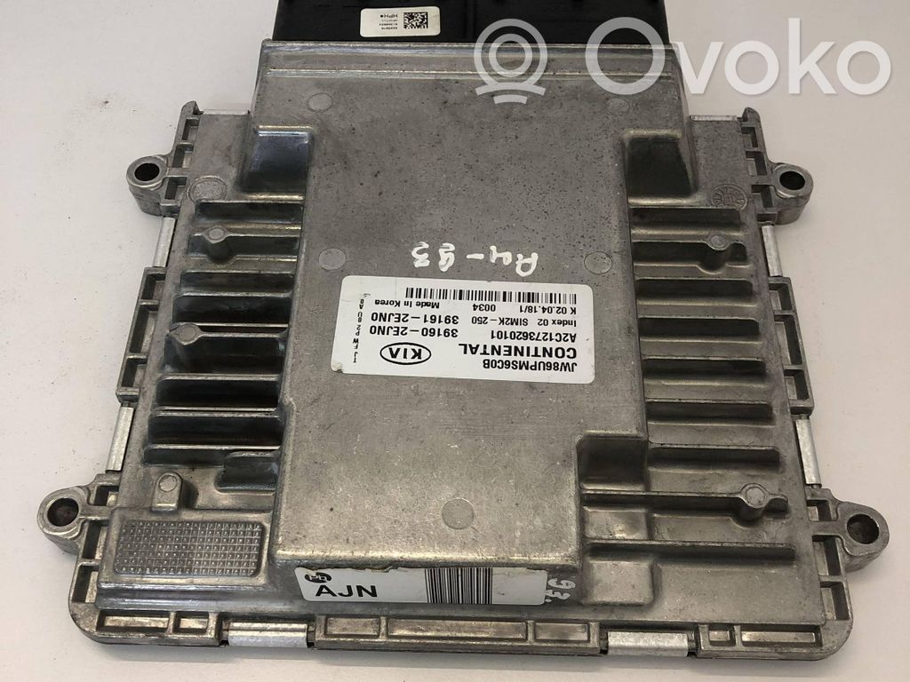 Engine control unit/module   391602EJN0,A2C1273620101,391612EJN0,JW86UPMS6C0B