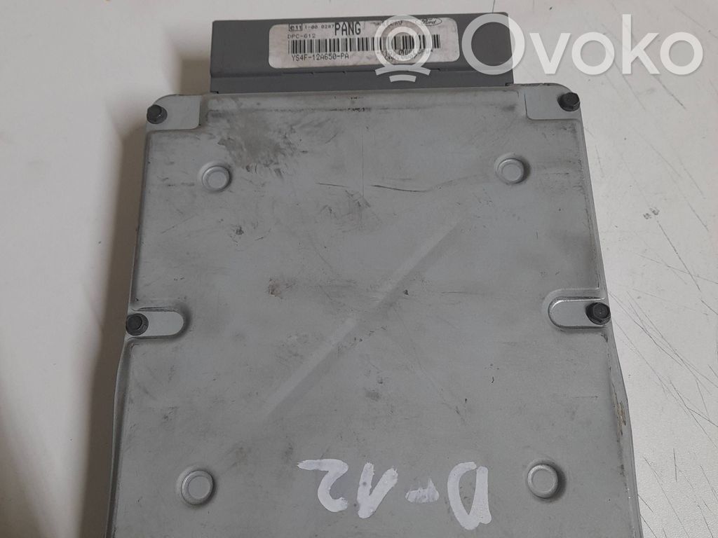 Engine control unit/module   YS4F12A650PA