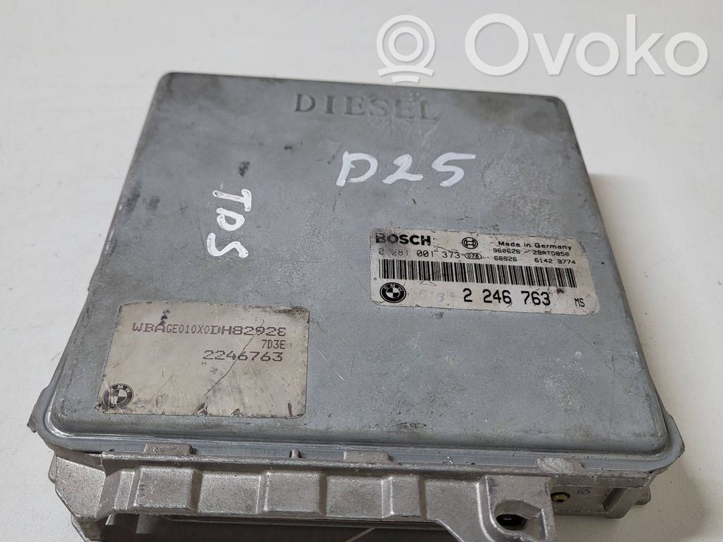 BMW 5 E39 Engine control unit/module 