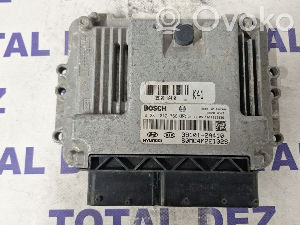 Hyundai Accent Engine control unit/module 