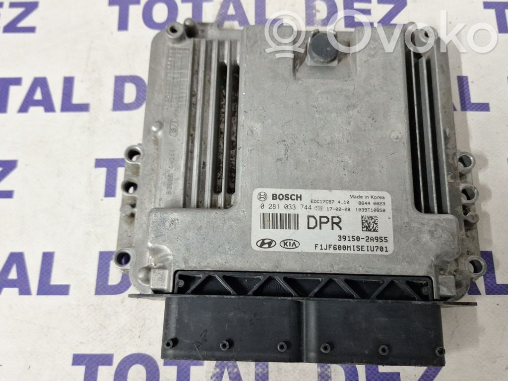 Engine control unit/module   391502A955,0281033744