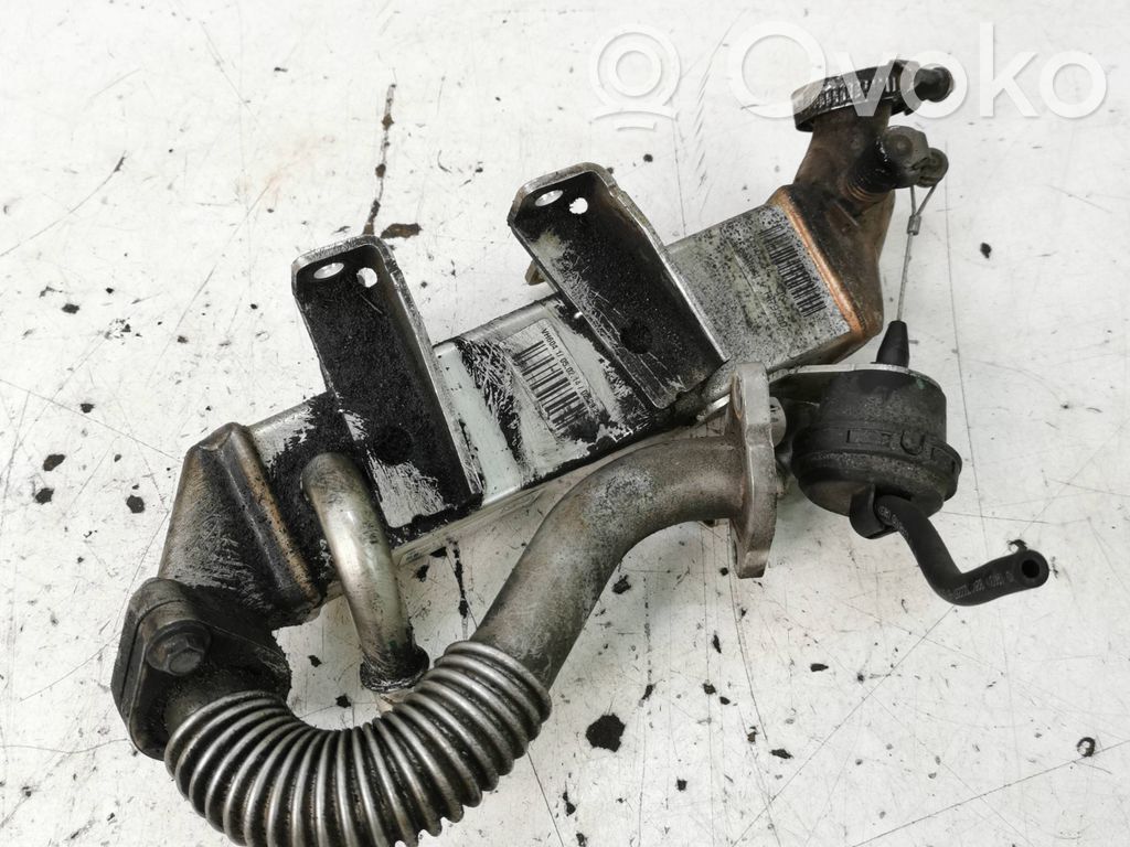 Renault Laguna III Chłodnica spalin EGR 