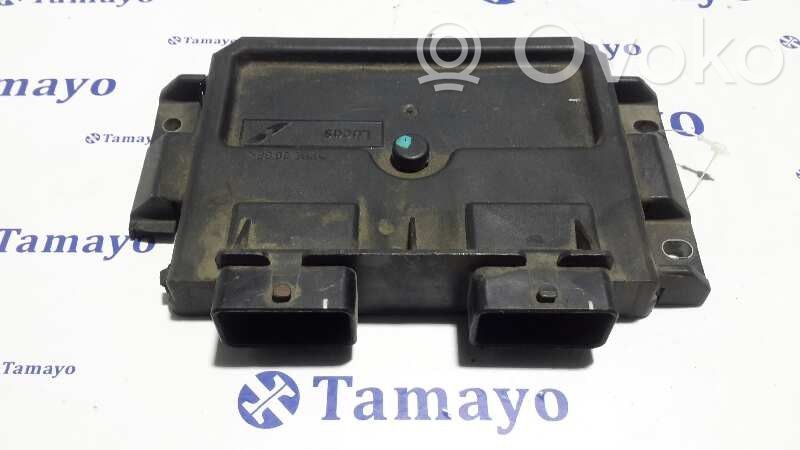 Ford Focus Engine control unit/module 