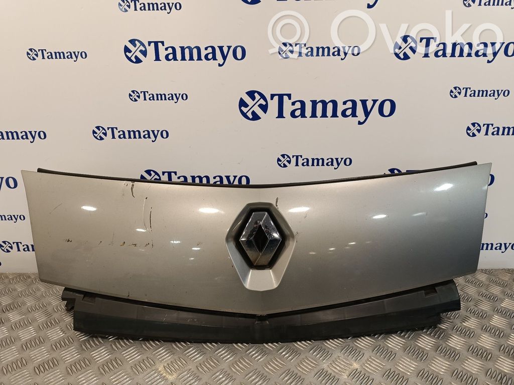 Renault Kangoo II Grilă față 