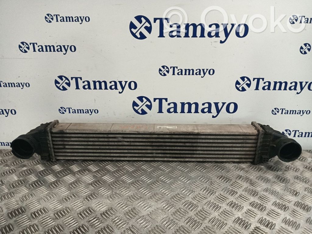 Mercedes-Benz A W169 Radiator intercooler 
