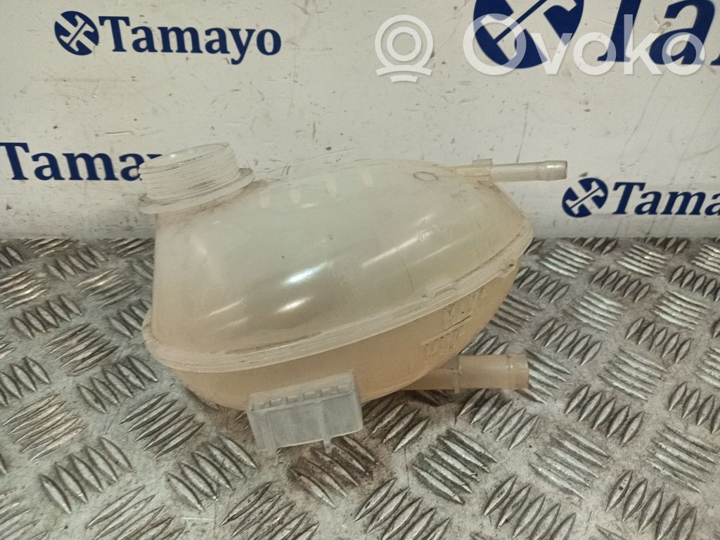 Kuro išsiplėtimo bakelis   GN118A080AA