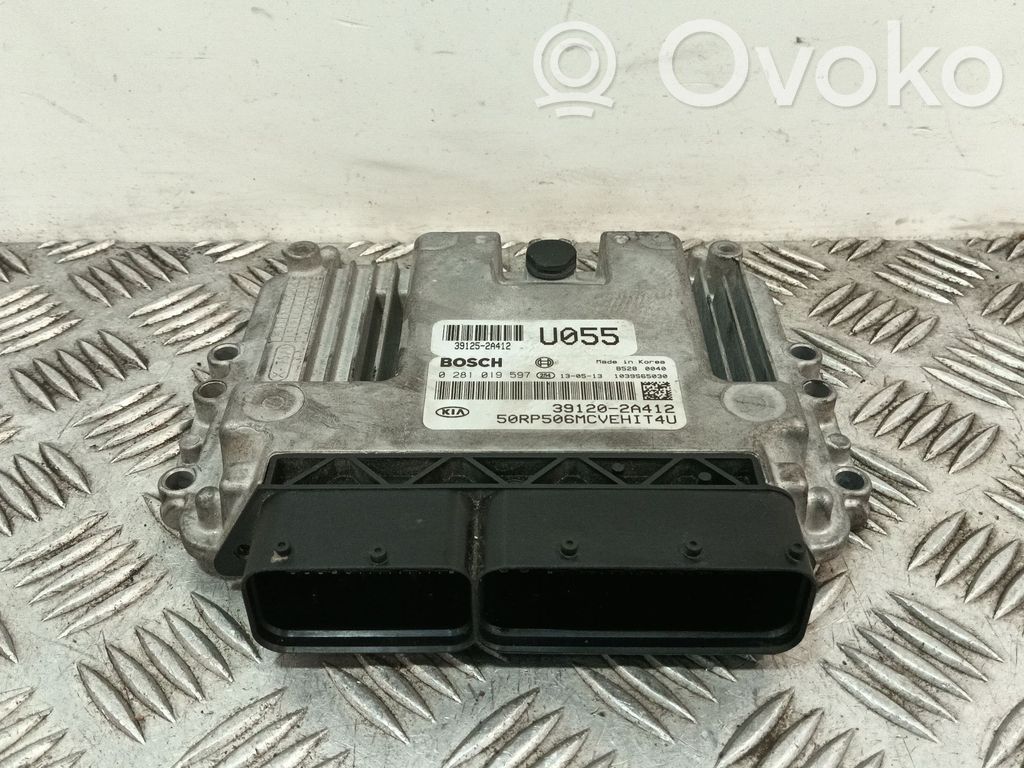 Engine control unit/module   391202A412,391252A412,0281019597