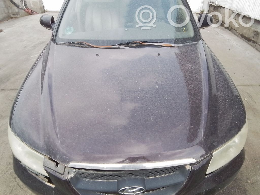Hyundai Sonata Konepelti