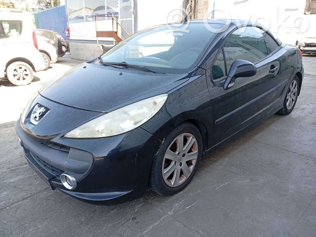 Peugeot 207 Ammortizzatore anteriore con molla elicoidale