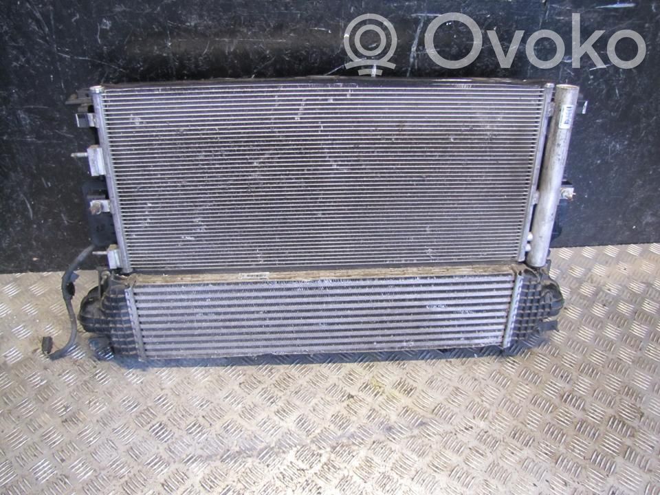 Ford Galaxy Radiator set 