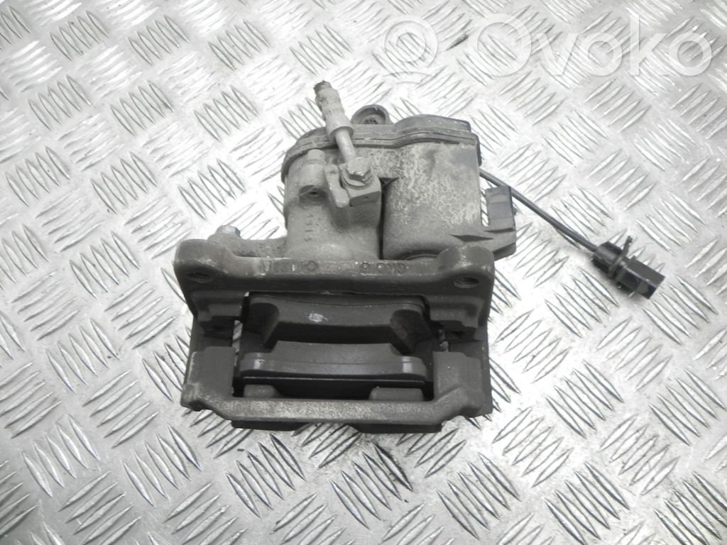 Takajarrusatula   8W0406AT,VD24085