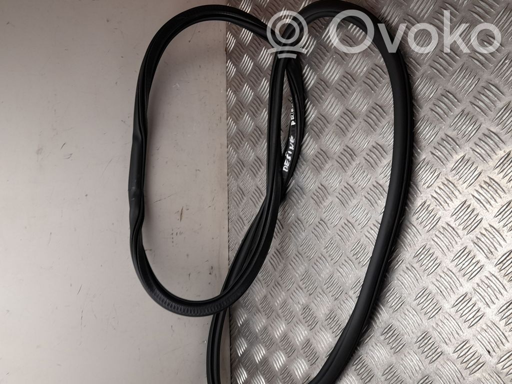 Volkswagen Golf VIII Guarnizione in gomma portiera anteriore 