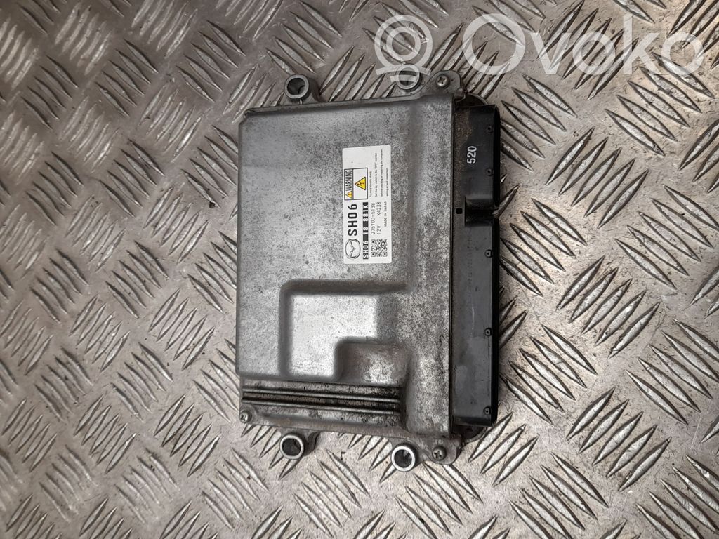 Unidad de control/módulo del motor   SH0618881K,2757005138,E2546