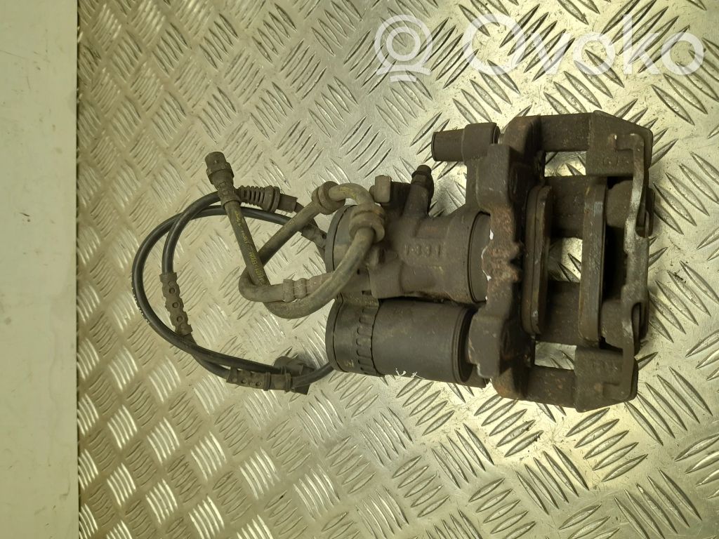 Takajarrusatula   6798961,VD29489