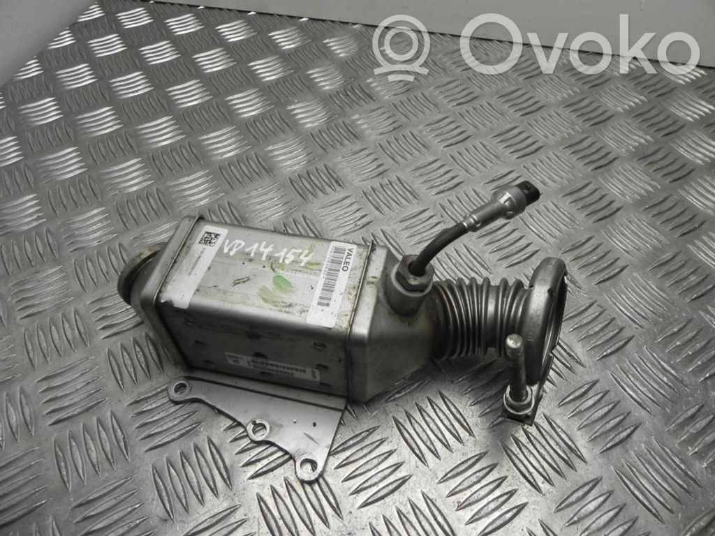 Jeep Renegade EGR valve cooler 