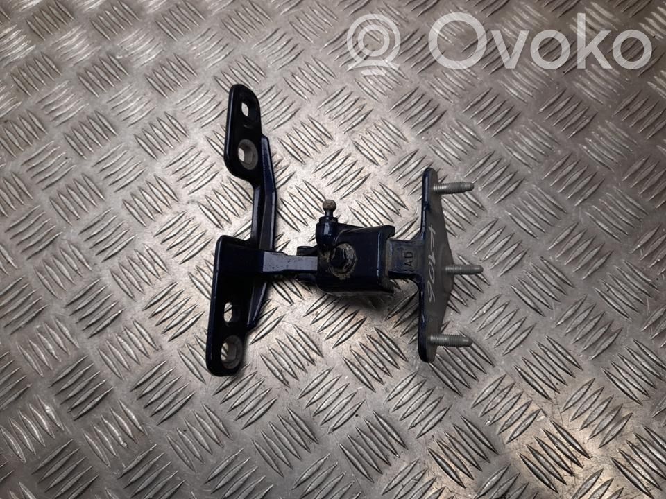 Tailgate/trunk/boot hinge   7463530,H2535