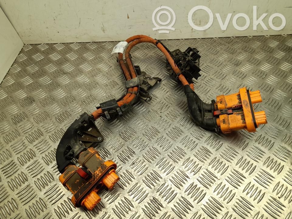 Altro tipo di cablaggio   1EA971015AA,VD36517