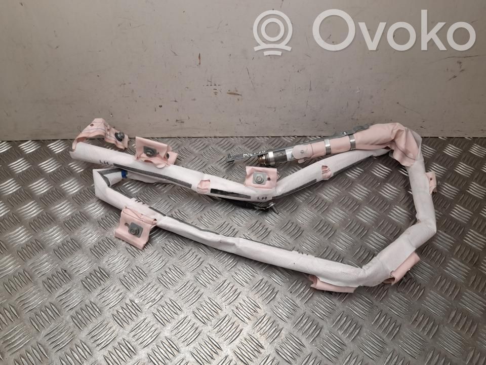 Tesla Model S Airbag del techo 