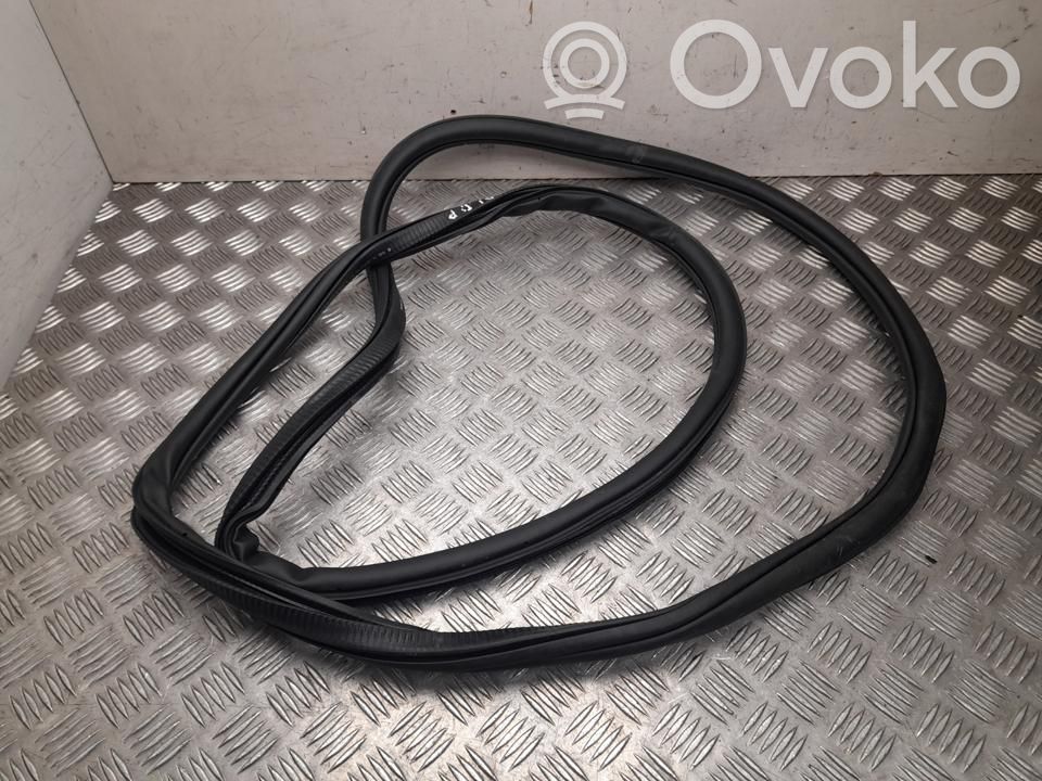 Volkswagen Tayron II Gumowa uszczelka drzwi przednich