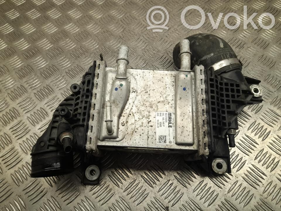 Volkswagen Transporter - Caravelle T6 Radiator intercooler 