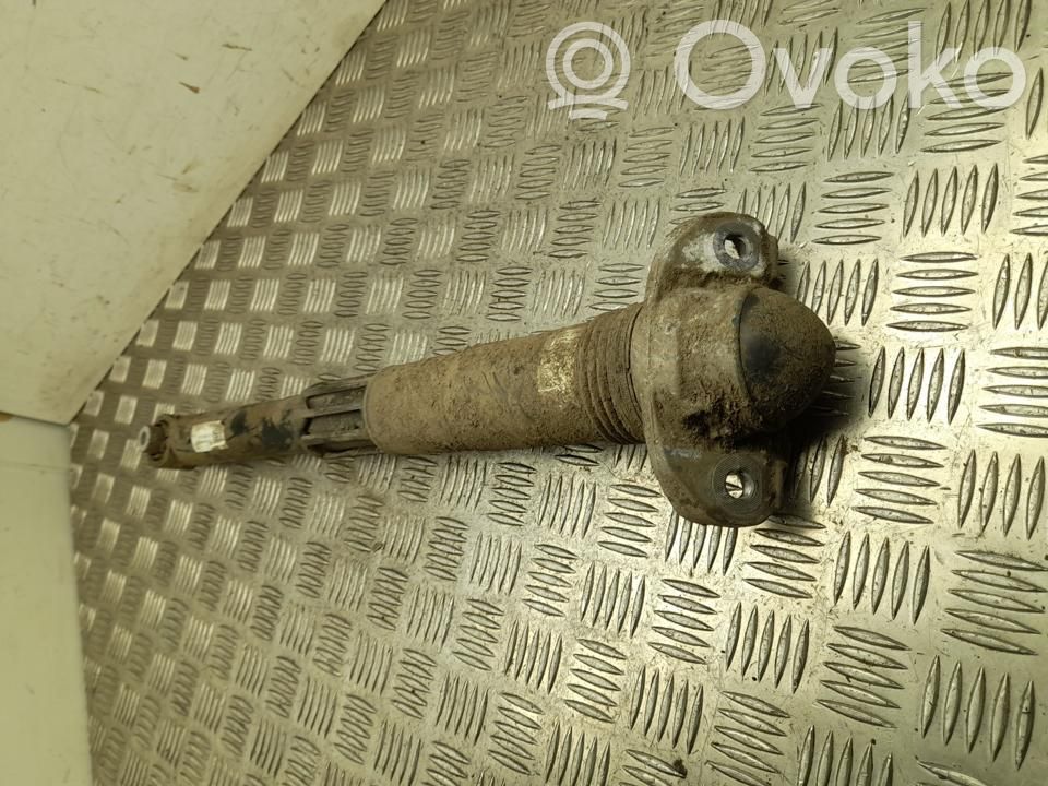 Cupra Born Stoßdämpfer hinten 