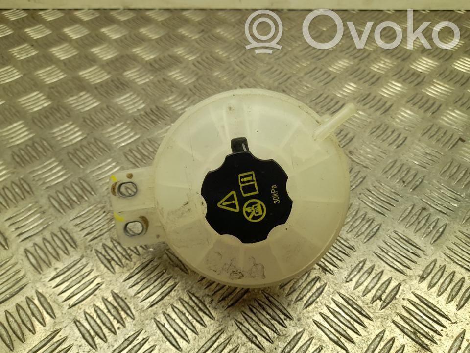 BYD Atto 3 Zbiornik wyrównawczy chłodziwa 