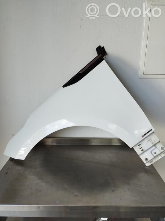 Guardabarro   J8A216A133,LR091699,P131