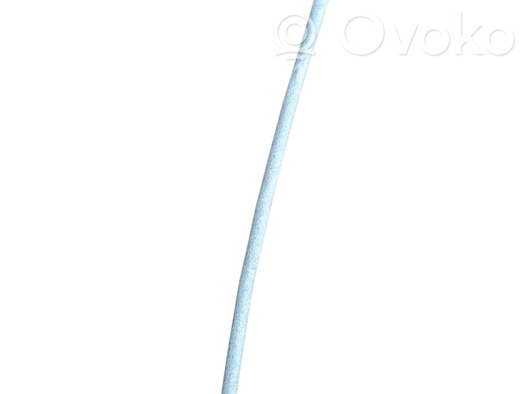 Trosīte   526218