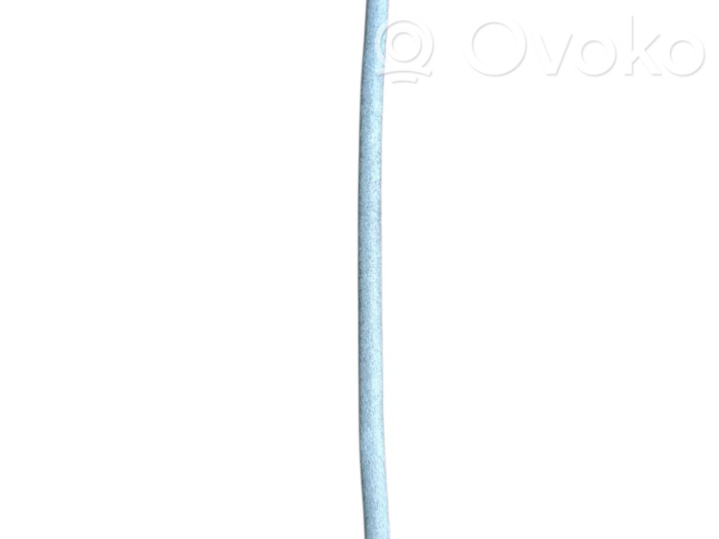 Trosīte   7117743