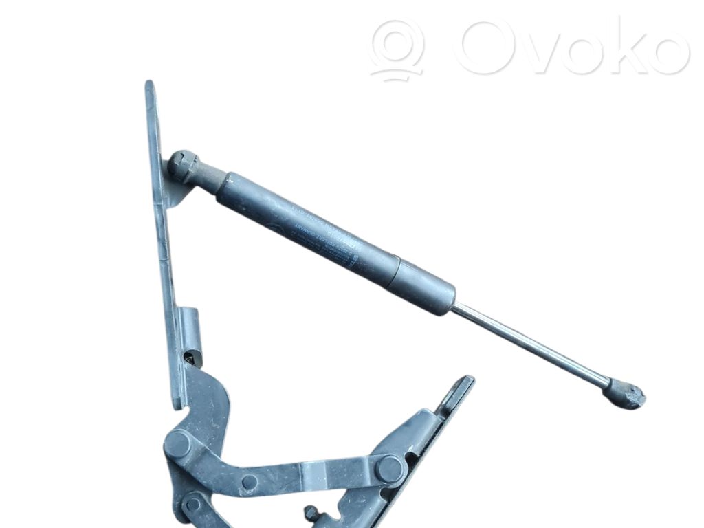 Engine bonnet/hood hinges   7064159
