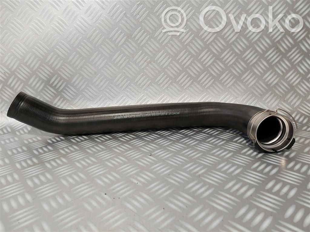 Ford Focus Interkūlera šļūtene (-es) / caurule (-es) 
