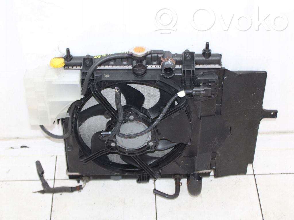 Radiator set   2006R