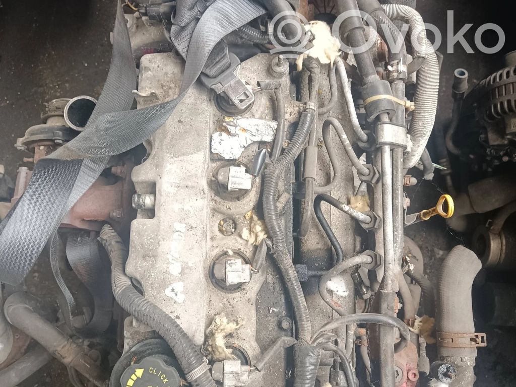 Motor   RF7