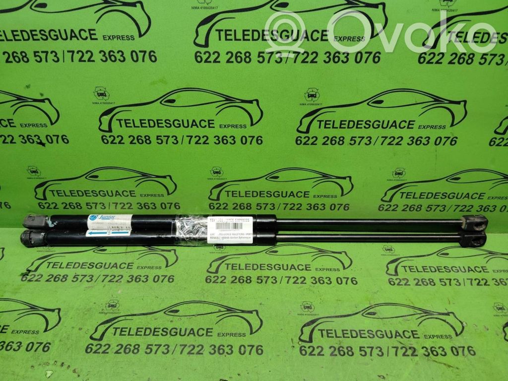 Tailgate/trunk strut/damper   JB525550